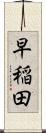 早稲田 Scroll