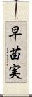早苗実 Scroll