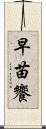 早苗饗 Scroll