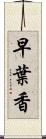 早葉香 Scroll