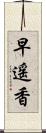 早遥香 Scroll