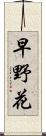 早野花 Scroll