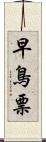 早鳥票 Scroll