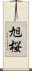 旭桜 Scroll