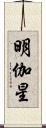 明伽星 Scroll