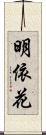 明依花 Scroll