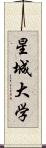 星城大学 Scroll