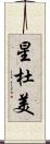 星杜美 Scroll