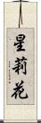 星莉花 Scroll