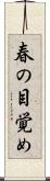 春の目覚め Scroll