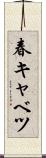 春キャベツ Scroll