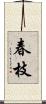 春枝 Scroll