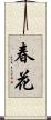 春花 Scroll