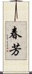 春芳 Scroll