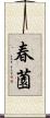 春薗 Scroll