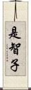 是智子 Scroll