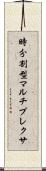 時分割型マルチプレクサ Scroll