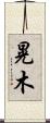晃木 Scroll