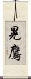 晃鷹 Scroll