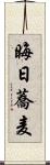 晦日蕎麦 Scroll