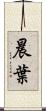 晨葉 Scroll