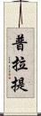 普拉提 Scroll