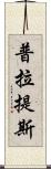 普拉提斯 Scroll
