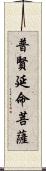 普賢延命菩薩 Scroll