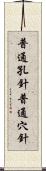 普通孔針 Scroll
