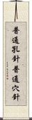 普通孔針 Scroll