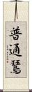 普通鵟 Scroll