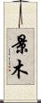 景木 Scroll