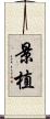 景植 Scroll