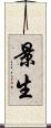 景生 Scroll