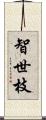 智世枝 Scroll