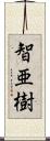 智亜樹 Scroll