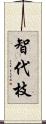 智代枝 Scroll