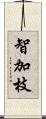 智加枝 Scroll