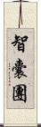 智囊團 Scroll