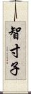 智寸子 Scroll