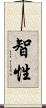 智性 Scroll