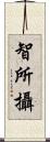 智所攝 Scroll