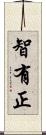 智有正 Scroll