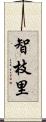 智枝里 Scroll