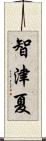 智津夏 Scroll