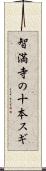 智満寺の十本スギ Scroll