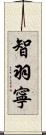 智羽寧 Scroll