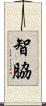 智脇 Scroll