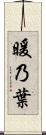 暖乃葉 Scroll