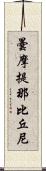 曇摩提那比丘尼 Scroll